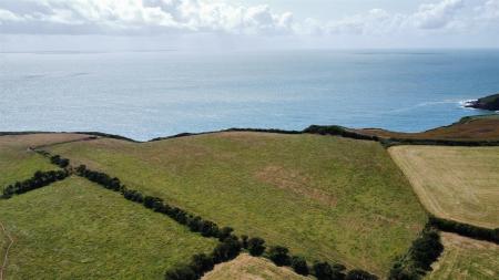 dji_fly_20250714_114240_409_1752489836842_photo_op