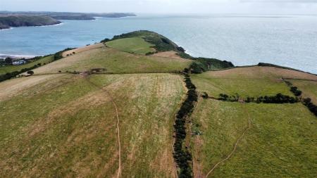 dji_fly_20250714_114234_408_1752489794510_photo_op