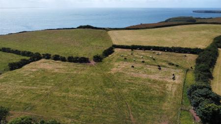 dji_fly_20250714_114056_403_1752489752907_photo_op