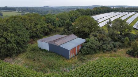 dji_fly_20250811_102642_280_1754904624400_photo_op