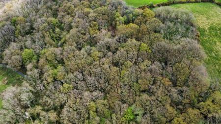 dji_fly_20230502_123940_634_1683124612900_photo_optimized.jpg