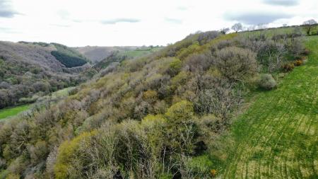 dji_fly_20230502_123650_624_1683124638144_photo_optimized.jpg