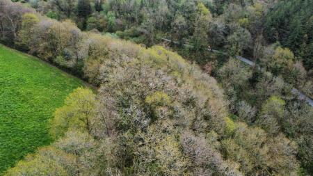 dji_fly_20230502_123546_620_1683124648422_photo_optimized.jpg