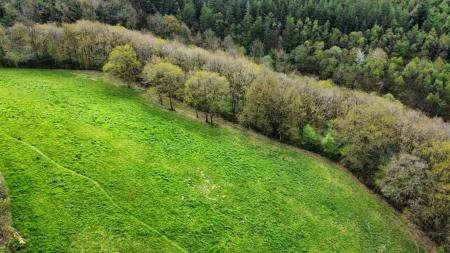 dji_fly_20230502_123708_626_1683124620431_photo_optimized.jpg