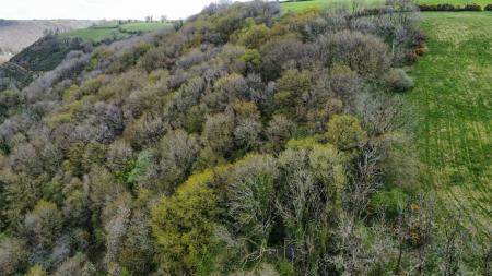 dji_fly_20230502_123616_622_1683124643293_photo_optimized.jpg