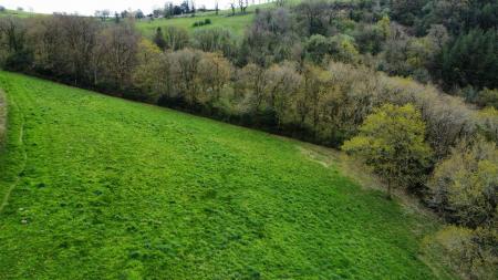 dji_fly_20230502_123518_619_1683124663339_photo_optimized.jpg