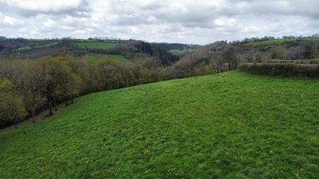 dji_fly_20230502_123356_613_1683124665816_photo_optimized.jpg