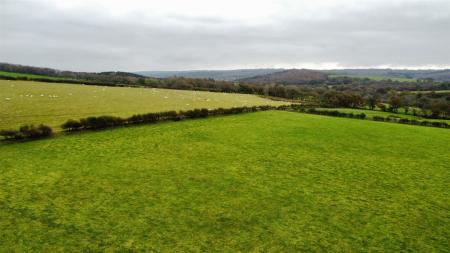 dji_fly_20241031_133242_955_1730381570100_photo_optimized.jpg