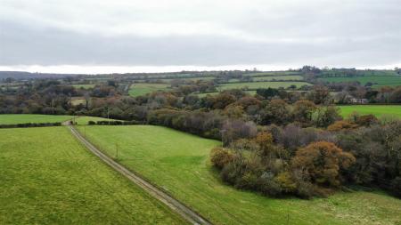 dji_fly_20241031_133608_968_1730381787434_photo_optimized.jpg