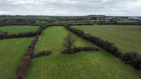 dji_fly_20250207_131202_36_1738933944614_photo_optimized.jpg