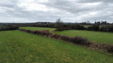 dji_fly_20250207_130818_27_1738934365380_photo_optimized.jpg