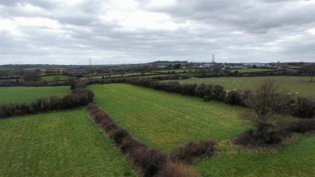 The Land