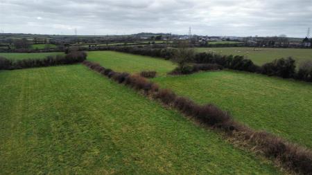 dji_fly_20250207_131248_39_1738933984719_photo_optimized.jpg