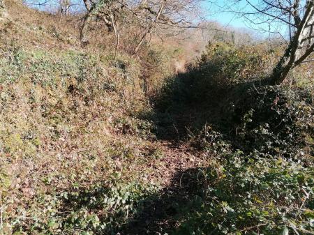 IMG_20230126_110726.jpg