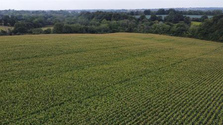 dji_fly_20250811_102646_281_1754904623254_photo_optimized.jpg