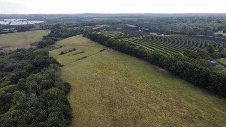 dji_fly_20250811_102740_288_1754904581105_photo_optimized.jpg