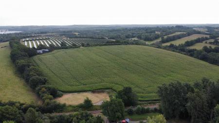 dji_fly_20250811_102556_277_1754904627476_photo_optimized.jpg