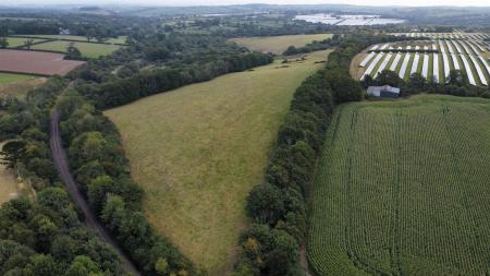 dji_fly_20250811_102832_291_1754904578361_photo_optimized.jpg