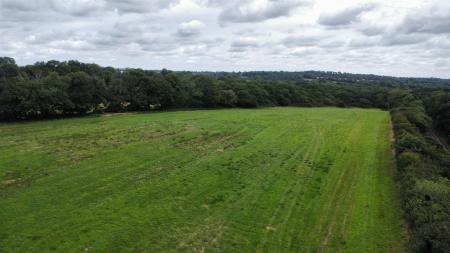 dji_fly_20250716_120810_465_1752664097338_photo_optimized.jpg