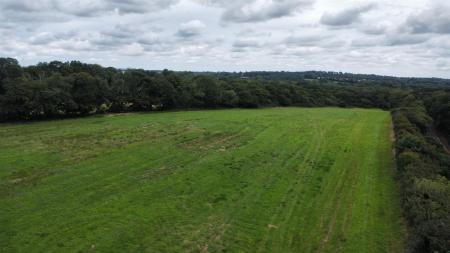 dji_fly_20250716_120744_464_1752664101052_photo_optimized.jpg