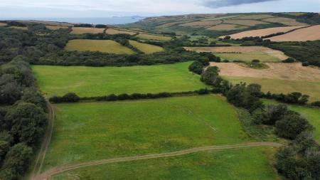 dji_fly_20250716_105514_446_1752659899252_photo_optimized.jpg