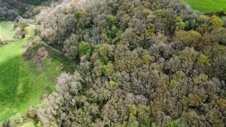 dji_fly_20230502_123936_633_1683124615421_photo_optimized.jpg