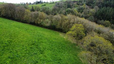 dji_fly_20230502_123510_618_1683124660875_photo_optimized.jpg