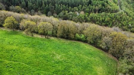 dji_fly_20230502_123658_625_1683124633025_photo_optimized.jpg