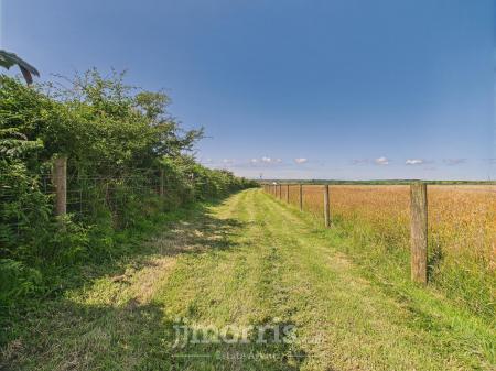 Externally & The Land