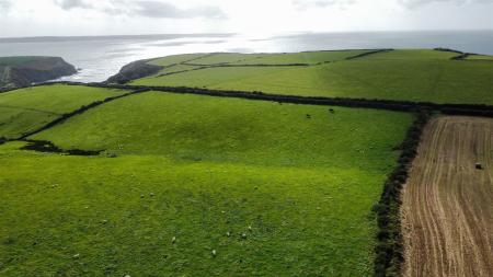 dji_fly_20230926_151522_29_1695737885803_photo_optimized.jpg
