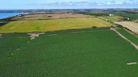 dji_fly_20250709_154452_345_1752073100549_photo_optimized.jpg
