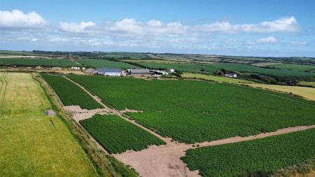 dji_fly_20250709_160620_363_1752073639300_photo_optimized.jpg