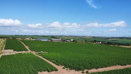 dji_fly_20250709_160558_360_1752073636222_photo_optimized.jpg