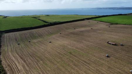 dji_fly_20230926_151524_30_1695737888261_photo_optimized.jpg