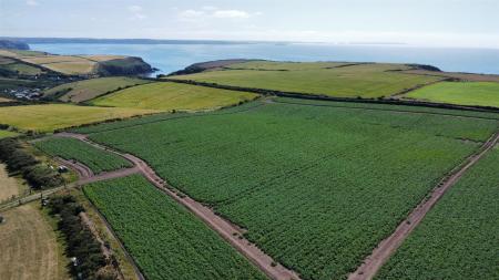 dji_fly_20250709_154356_340_1752073108153_photo_optimized.jpg