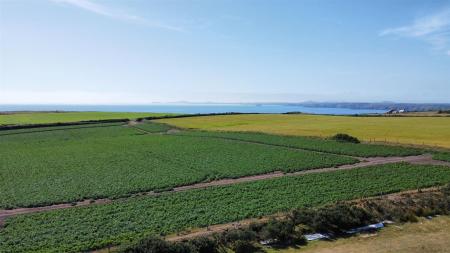 dji_fly_20250709_154136_330_1752073122055_photo_optimized.jpg