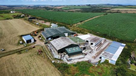 dji_fly_20250709_154244_335_1752073115374_photo_optimized.jpg