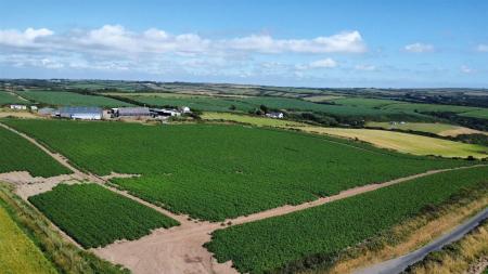 dji_fly_20250709_160618_362_1752073637965_photo_optimized.jpg