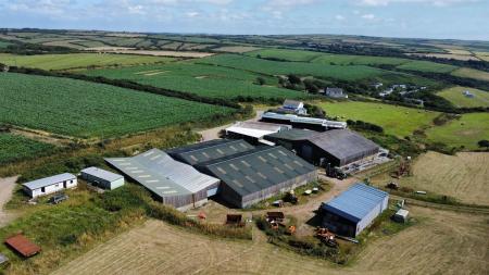 dji_fly_20250709_154352_339_1752073109606_photo_optimized.jpg