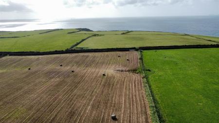 dji_fly_20230926_151626_34_1695737900734_photo_optimized.jpg