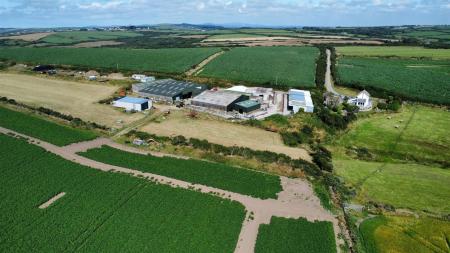 dji_fly_20250709_154446_344_1752073102166_photo_optimized.jpg