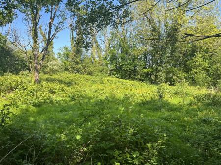 PLOT 1