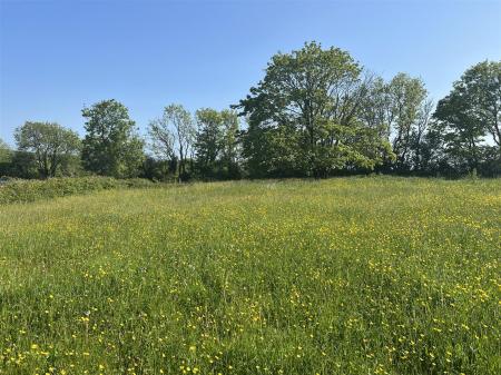 PLOT 3