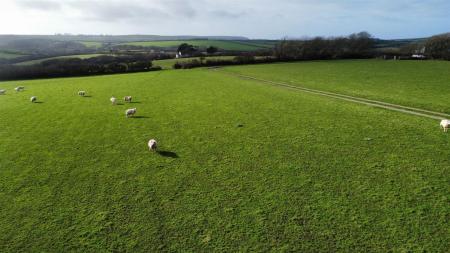 THE LAND WESTERN ASPECT