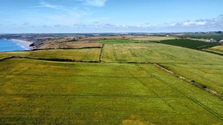 dji_fly_20250709_155642_358_1752073074596_photo_optimized.jpg
