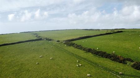 dji_fly_20230926_152752_37_1695836134083_photo_optimized.jpg
