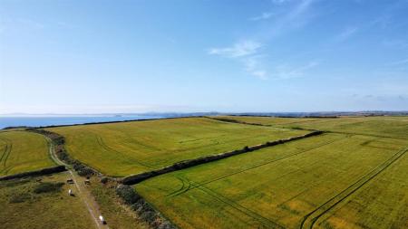 dji_fly_20250709_155518_348_1752073095811_photo_optimized.jpg