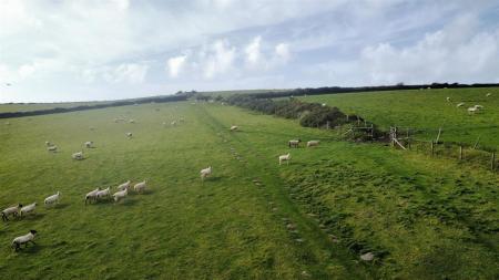 dji_fly_20230926_152742_36_1695836136585_photo_optimized.jpg