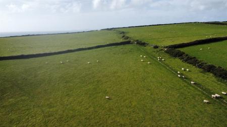 dji_fly_20230926_152808_39_1695836129115_photo_optimized.jpg