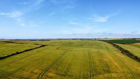 dji_fly_20250709_155522_349_1752073094160_photo_optimized.jpg